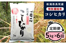 48-N056【6ヶ月連続お届け】新潟県長岡産特別栽培米コシヒカリ5kg
