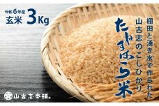 G3-6G03旧山古志村のこしひかり「たねすはら米」玄米3kg（新潟県産コシヒカリ）