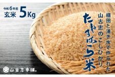 G3-6G05旧山古志村のこしひかり「たねすはら米」玄米5kg（新潟県産コシヒカリ）