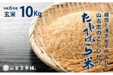 G3-6G10旧山古志村のこしひかり「たねすはら米」玄米10kg（新潟県産コシヒカリ）