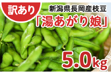 75E-BY5A【訳あり】新潟長岡産枝豆湯あがり娘5.0kg【B品】