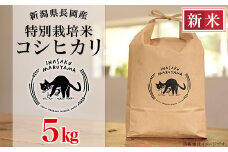 L4-K051新潟県長岡産 特別栽培米コシヒカリ 5kg