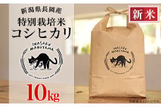 L4-K101新潟県長岡産 特別栽培米コシヒカリ 10kg
