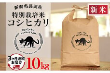 L4-K103【3ヶ月連続お届け】新潟県長岡産 特別栽培米コシヒカリ 10kg
