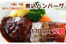76-96湯せんで簡単！煮込みハンバーグ食べ比べセット 4種2kg以上（170g×12個）