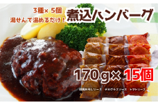 76-97B湯せんで簡単！煮込みハンバーグ食べ比べセット 3種2.5kg以上（170g×15個）