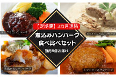 76-98B【3ヶ月連続お届け】湯せんで簡単！煮込みハンバーグ食べ比べセット 8個×3回お届け 総重量4kg以上！