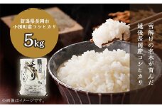 O1-01新潟県小国町産 特別栽培米コシヒカリ「きりさわ米」5kg 
