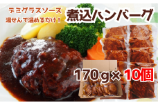 76-A4B湯せんで簡単！デミグラス煮込みハンバーグ 10個セット（170g×10個）