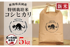 L4-K056【6ヶ月連続お届け】新潟県長岡産 特別栽培米コシヒカリ 5kg