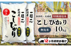 48-M10Z【12ヶ月連続お届け】【無洗米】新潟県長岡産特別栽培米コシヒカリ10kg