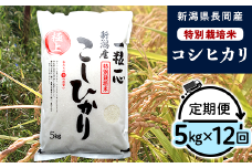 48-05Z【12ヶ月連続お届け】新潟県長岡産特別栽培米コシヒカリ5kg