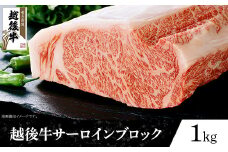 63-42A新潟県産 越後牛サーロインブロック1kg