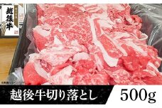 63-45新潟県産 越後牛切り落とし500g