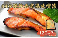 D7-10自家製銀鮭西京風味噌漬（120g×7切れ）