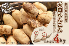 75T-04【大口れんこん】新潟県長岡産レンコン4kg（3.6kg+芽れんこん0.4kg）