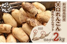 75T-05【大口れんこん】新潟県長岡産レンコン2kg（1.6kg+芽れんこん0.4kg）