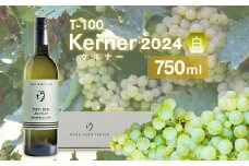 24-06B T100 Kerner〈白〉2024 750ml【ワインファームとちお】