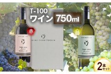 24-07B T100 ワイン750ml×2本セット【ワインファームとちお】