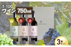 24-08B T100 ワイン750ml×3本セット【ワインファームとちお】