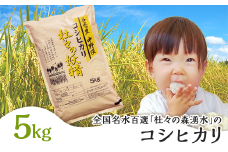 43-08杜々の妖精コシヒカリ5kg（全国名水百選栃尾産）