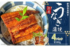 H7-83【簡単調理】国産鰻蒲焼　95g×4パック