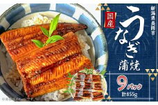 H7-84【簡単調理】国産鰻蒲焼　95g×9パック