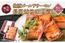 66-17美味極上　佐渡ゴールドサーモンの長岡越後味噌漬 8切入