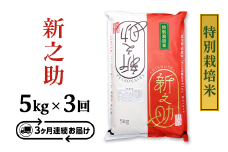 B7-ST053【3ヶ月連続お届け】長岡産新之助5kg（特別栽培米）