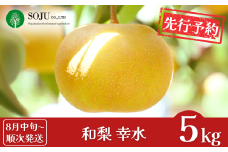 先行予約 和梨 幸水 約5kg [8月中旬から発送予定] 令和7年度 贈答用 新潟県 三条市産  [三条果樹専門家集団] 【016P019】