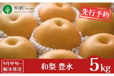 先行予約 和梨 豊水 約5kg [9月中旬から発送予定] 令和7年度 贈答用 新潟県 三条市産 梨 [三条果樹専門家集団] 【016P020】