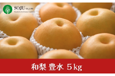 和梨 豊水 約5kg 令和7年度 贈答用 新潟県 三条市産 梨 [三条果樹専門家集団] 【016P020】