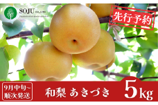 先行予約 和梨 あきづき 約5kg [9月中旬から発送予定] 令和7年度 贈答用 新潟県 三条市産 [三条果樹専門家集団]【016P021】