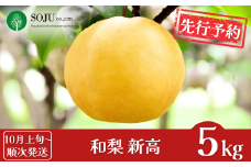 先行予約 和梨 新高 約5kg [10月上旬から発送予定] 令和7年度 新高梨 贈答用 新潟県 三条市産 [三条果樹専門家集団]【016P022】