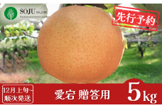 先行予約 和梨 愛宕 約5kg 贈答用 [12月上旬から発送予定] 令和7年度 新潟県三条市産 梨 愛宕梨  [三条果樹専門家集団] 【016P024】