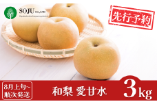先行予約 和梨 愛甘水 約3kg [8月上旬から発送予定] 令和7年度 新潟県 三条市産 梨  [三条果樹専門家集団]【016P025】
