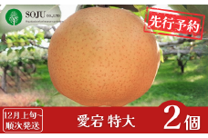 先行予約 和梨 愛宕 特大2個 [12月上旬から発送予定] 令和7年度 新潟県三条市産 梨 愛宕梨   [三条果樹専門家集団] 【016P027】