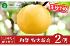 先行予約 特大 新高梨 2個 [10月中旬から発送予定] 令和7年度 和梨 贈答用 新潟県産 梨  [三条果樹専門家集団]  【016P028】