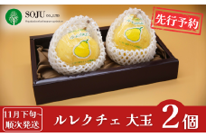 先行予約 ル レクチェ 大玉 2玉 [11月下旬から発送予定] 令和7年度 洋梨JGAP認証農場 新潟県 三条市産 ル レクチエ 冬限定  期間限定 幻の西洋梨 フルーツ 秋 旬 洋梨 ル・レクチェ  [三条果樹専門家集団]【016P029】