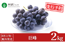 先行予約 巨峰 約2kg [8月上旬から発送予定] 令和7年度 贈答用 新潟県 三条市産 ぶどう [三条果樹専門家集団]【016P033】