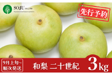 先行予約 和梨 二十世紀 約3kg [9月上旬から発送予定] 令和7年度 新潟県 三条市産 梨  [三条果樹専門家集団] 【016P034】