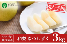 先行予約 和梨 なつしずく 約3kg [8月中旬から発送予定] 令和7年度 新潟県 三条市産 [三条果樹専門家集団]【016P036】