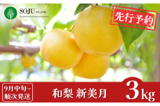 先行予約 新潟オリジナル和梨 新美月 約3kg [9月中旬から発送予定] 令和7年度 新潟県 三条市産 [三条果樹専門家集団]【016P037】