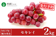 先行予約 ぶどう 赤嶺（セキレイ） 約2kg [9月下旬から発送予定] 令和7年度 贈答用 新潟県 三条市産 [三条果樹専門家集団]【017P016】
