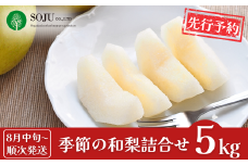 先行予約 季節の和梨詰合せ 約5kg [8月中旬から発送予定] 令和7年度 新潟県 三条市産 梨  [三条果樹専門家集団]【016P043】