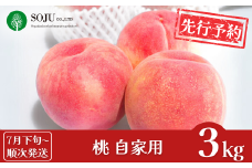 先行予約 桃 自家用 約3kg [7月下旬から発送予定] 令和7年度 新潟フルーツ 新潟県 三条市産 もも [三条果樹専門家集団] 【010P044】