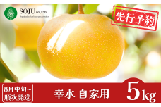 先行予約 和梨 幸水 自家用 約5kg [8月中旬から発送予定] 令和7年度 新潟県 三条市産 梨 [三条果樹専門家集団] 【010P047】