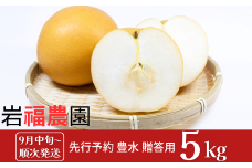 先行予約 和梨 豊水 5kg [9月中旬～順次発送予定] 新潟県産 梨 [岩福農園] 【010P053】
