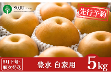 先行予約 和梨 豊水 自家用 約5kg [8月下旬から発送予定] 令和7年度 新潟フルーツ 新潟県産 三条市 梨 [三条果樹専門家集団]【010P055】