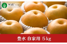 和梨 豊水 自家用 約5kg 令和7年度 新潟フルーツ 新潟県産 三条市 梨 [三条果樹専門家集団]【010P055】